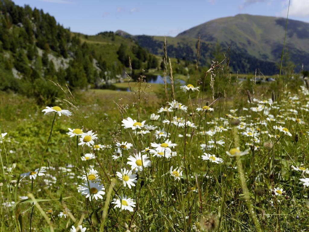 Der Hoferbauer Lejlighed Bad Kleinkirchheim Eksteriør billede